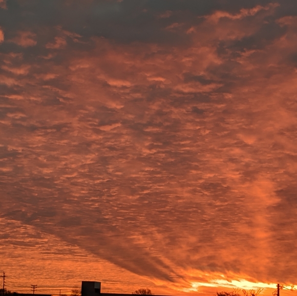 Meet your Posher, Sharee - Picture 2 of 2